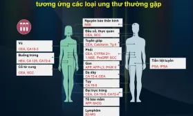 GÓI XÉT NGHIỆM TOÀN DIỆN TỔNG QUÁT (38 CHỈ SỐ)